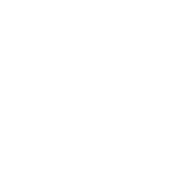 NSF_AllWhite_bitmap_Logo